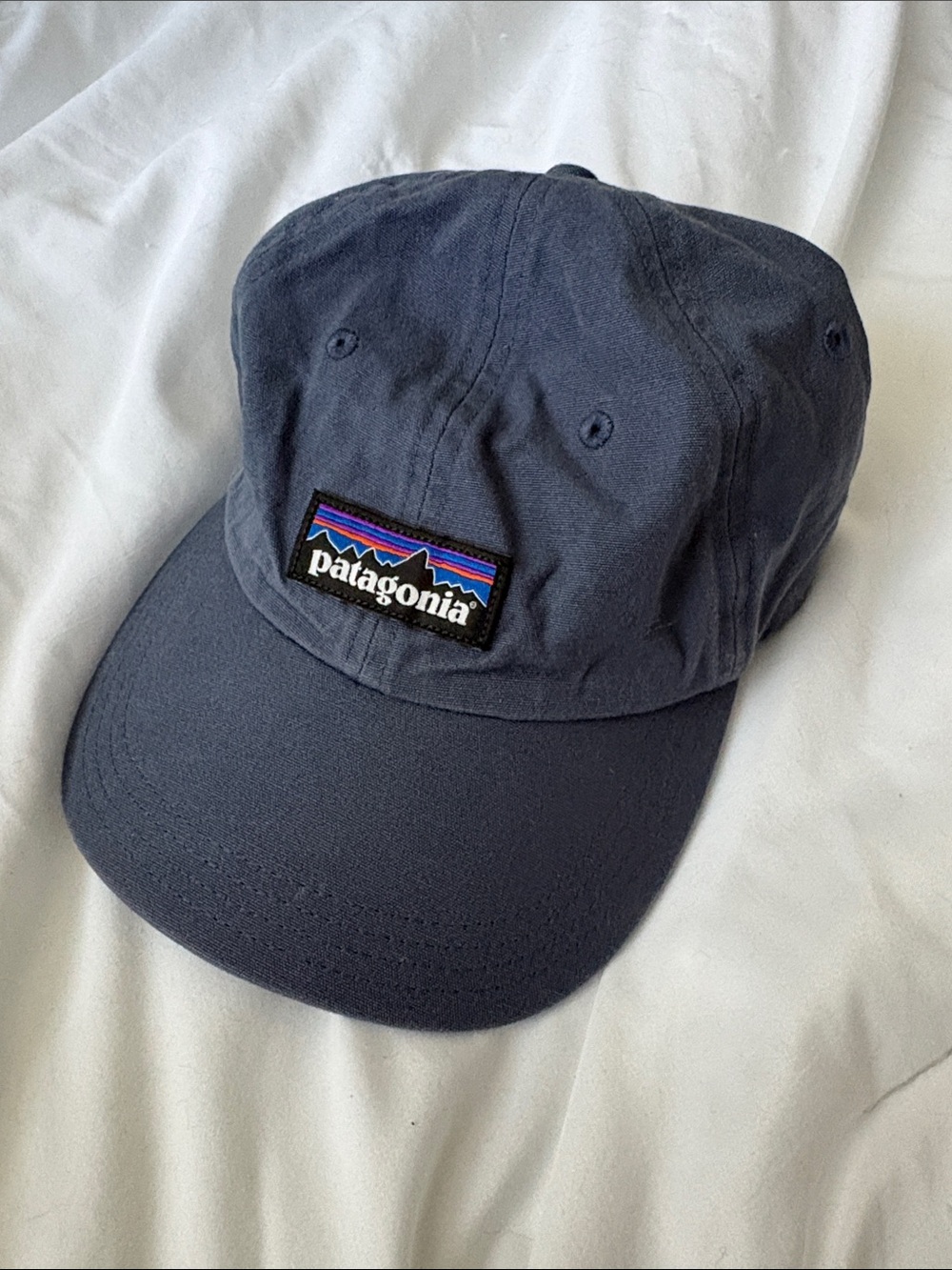 Patagonia Dark Blue Logo Strapback Cap